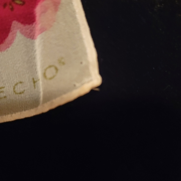 Echo Vintage Sheer Floral Scarf - Picture 4 of 6